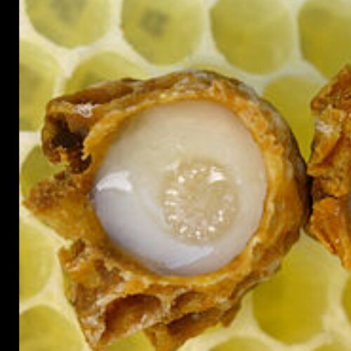 10گرم ژل رویال مخلوط با100 گرم شهدعسل