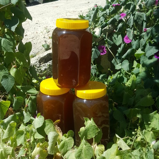 عسل 40 گیاه کوه نیر