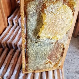 عسل قاب چوبی مومی گون کتیرا 2.850 کیلویی با چوب(خرید مستقیم از زنبوردار ) ارسال رایگان