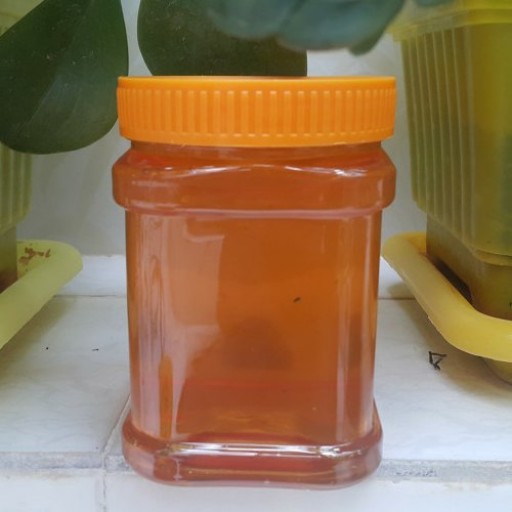 عسل انگبین خوانسار 1 کیلویی ساکارز پایین کاملا طبیعی