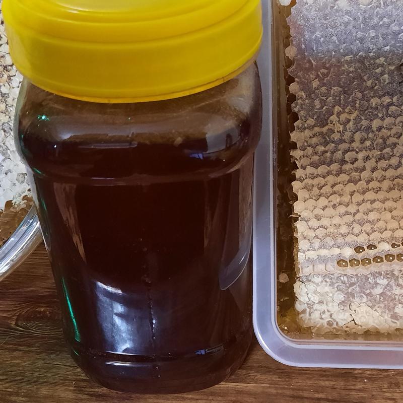 شهد عسل طبیعی اورگانیک قره چی یک کیلویی
