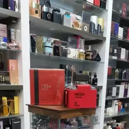 عطر و ادکلن زنانه مگا برند فلاویا ( FLAVIA - MEGA WOMAN )