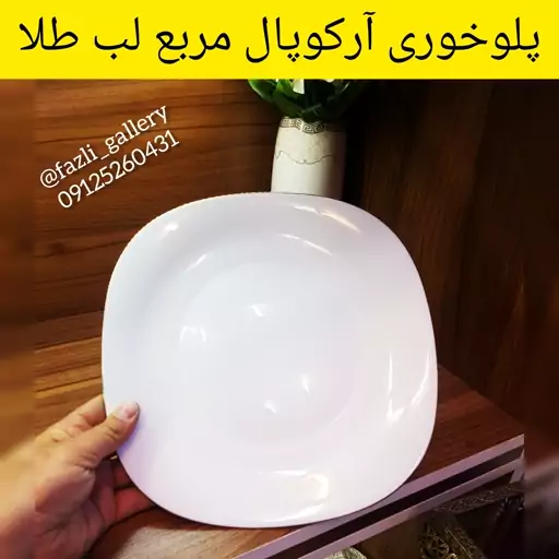 پلوخوری آرکوپال مربع دینو 6عددی        آرکوپال لب طلا مربع بشقاب پلو خوری مربع لب طلا غذا خوری  اوپال  ارکوپال