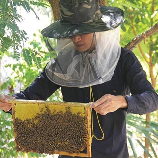 عسل طبیعی و ارگانیک ترنجبین دیبازر
