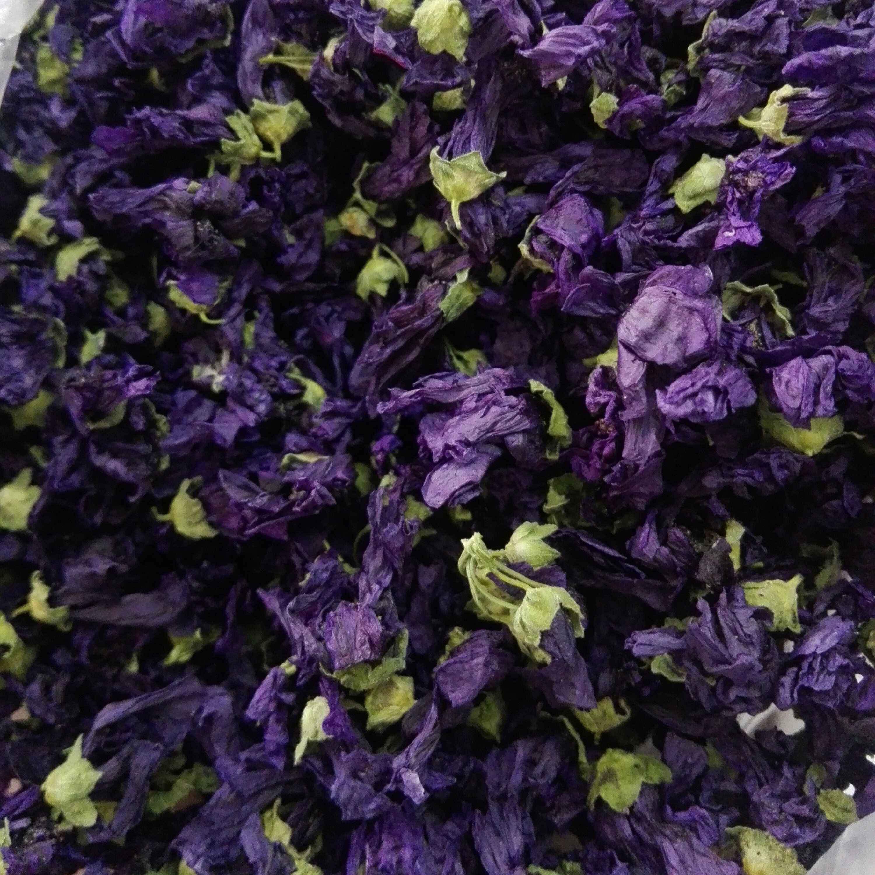 پنیرک یا ختمی خبازی(50 گرم) 