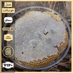 عسل خودبافت سماق(1 کیلوگرم)
