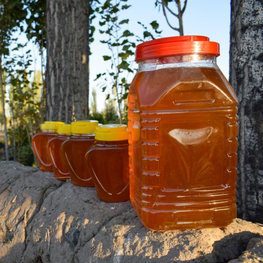 عسل طبیعی گون گز (گز انگبین)  فوق اعلا و درجه یک کردستان (1 کیلوگرم)