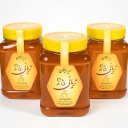 عسل چندگیاه طبیعی ثریائی سبلان (تغذیه نشده) (1000 گرمی)