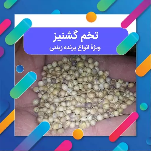 تخم گشنیز  200 گرمی مخصوص پرنده زینتی     بذر گشنیز   دانه گشنیز   گیشنیز