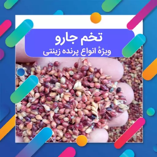 تخم جارو مخصوص انواع پرنده 55 گرمی بذر جارو