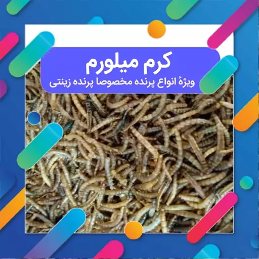  کرم میل ورم  80 گرمی  منبع غنی پروتئین برای پرنده مخصوصا پرنده زینتی 