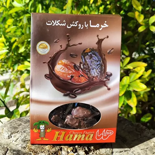 خرما شکلاتی با طعم قهوه(300) گرمی