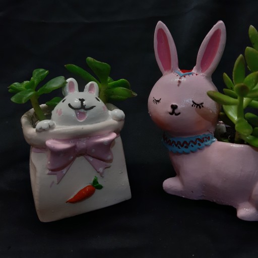 گلدان خرگوش و گلدان سبد خرگوش