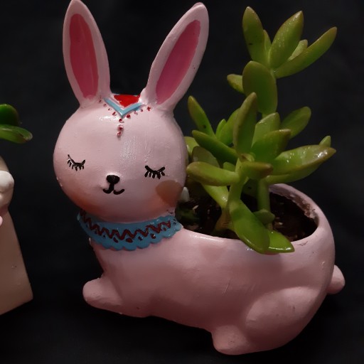 گلدان خرگوش و گلدان سبد خرگوش
