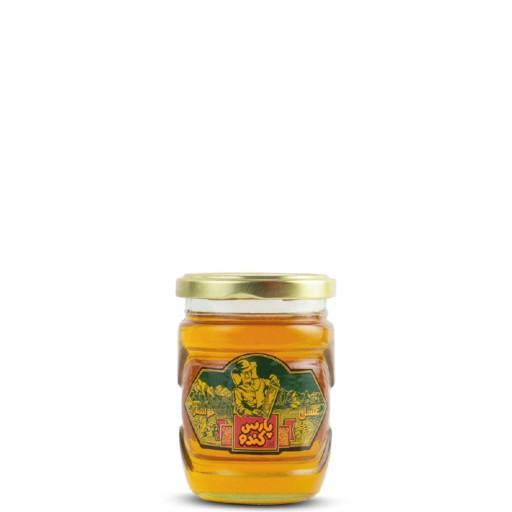 عسل طبیعی چند گیاه - شیشه 250 گرم - پارس کندو خوانسار
