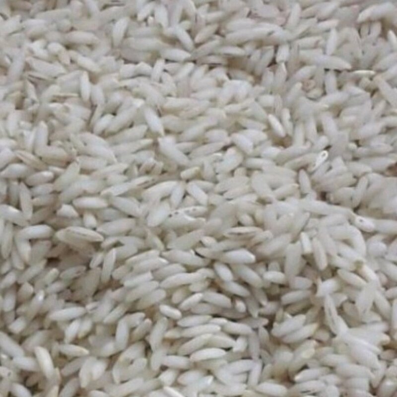 برنج عنبر بو چمپا اصل