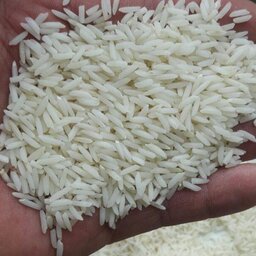 برنج استخوانی به شرط پخت