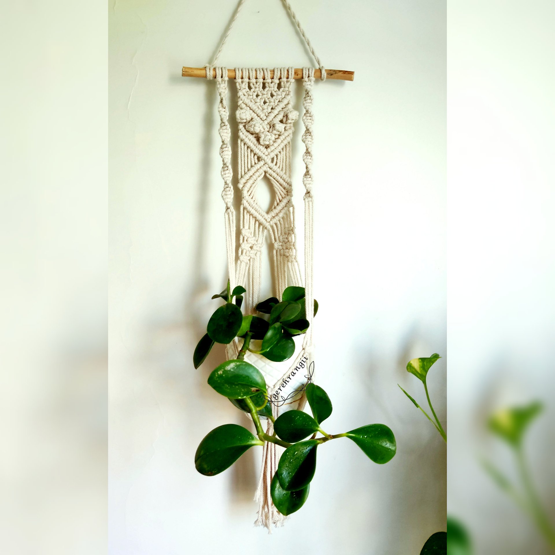 آویز گلدان طرح مینا