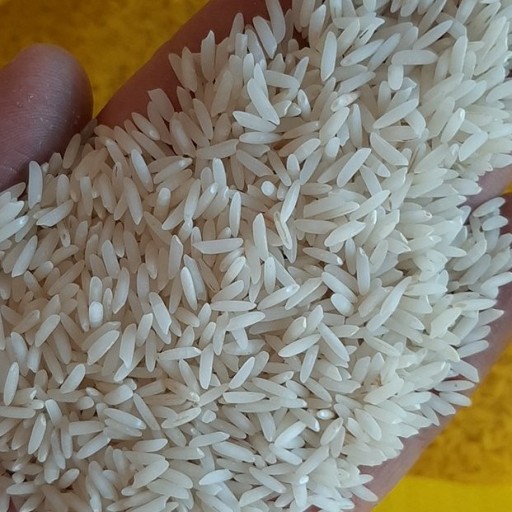 برنج طارم هاشمی درجه یک شمال
