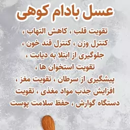 عسل طبیعی بادام کوهی (600 گرمی) برند هبلی