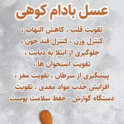 عسل طبیعی بادام کوهی (600 گرمی) برند هبلی