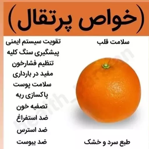 چیپس پرتقال(100گرم)