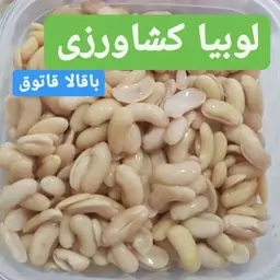 باقالا قاتوق شمالی در بسته های نیم کیلویی