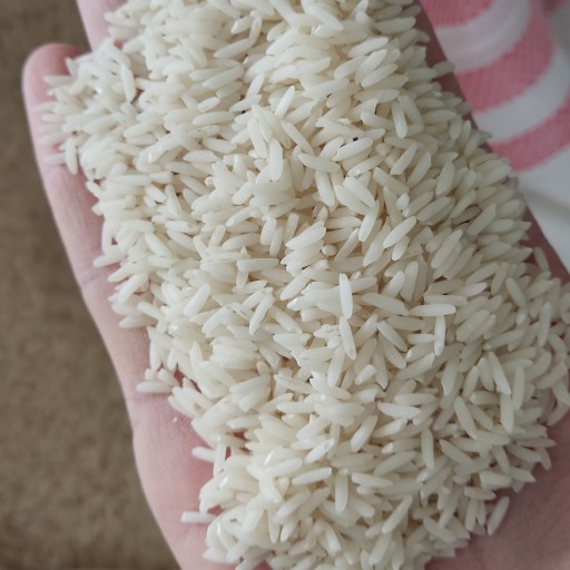 برنج  طارم امرالهی کشت دوم  5کیلویی
