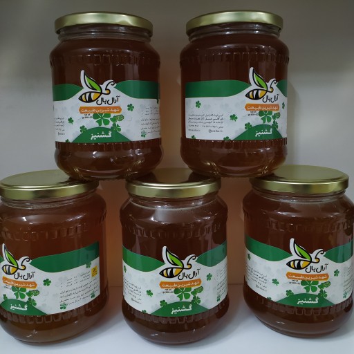 عسل گشنیز 1 کیلویی سبلان (تضمین کیفیت)