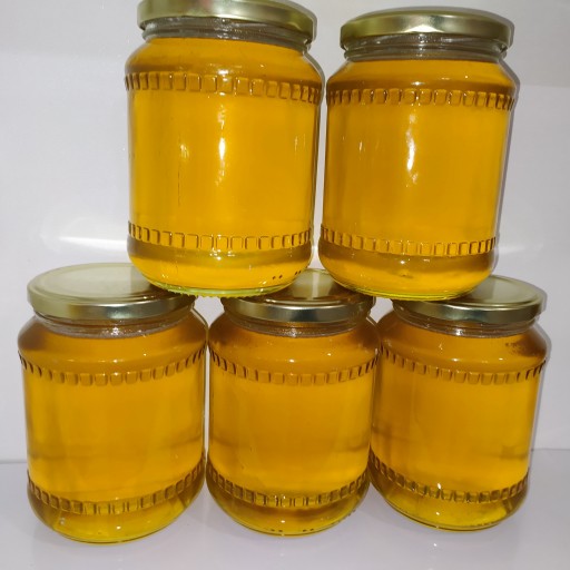 عسل دامنه های سبلان (تضمین کیفیت)