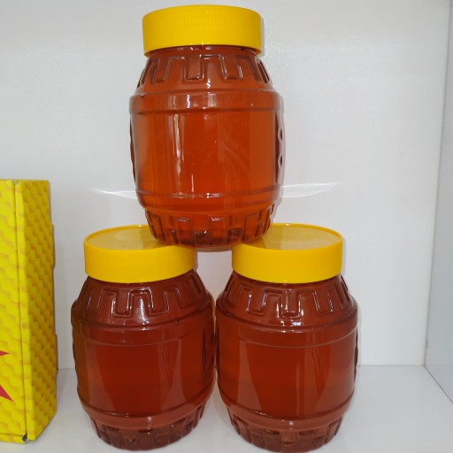 عسل گون سبلان (1000 گرم)