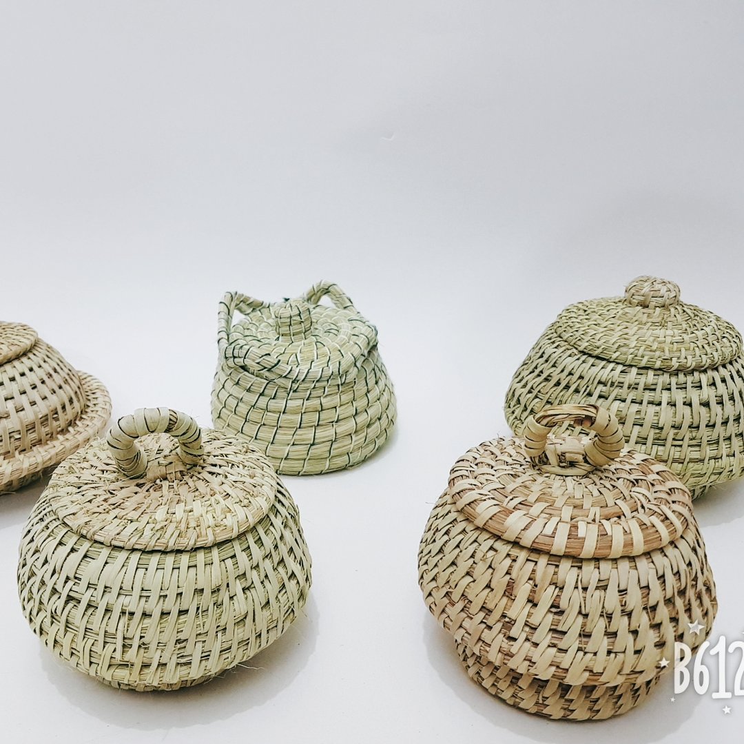 قنددان حصیری ریزبافت فشرده داز (جنوب بلوچستان)