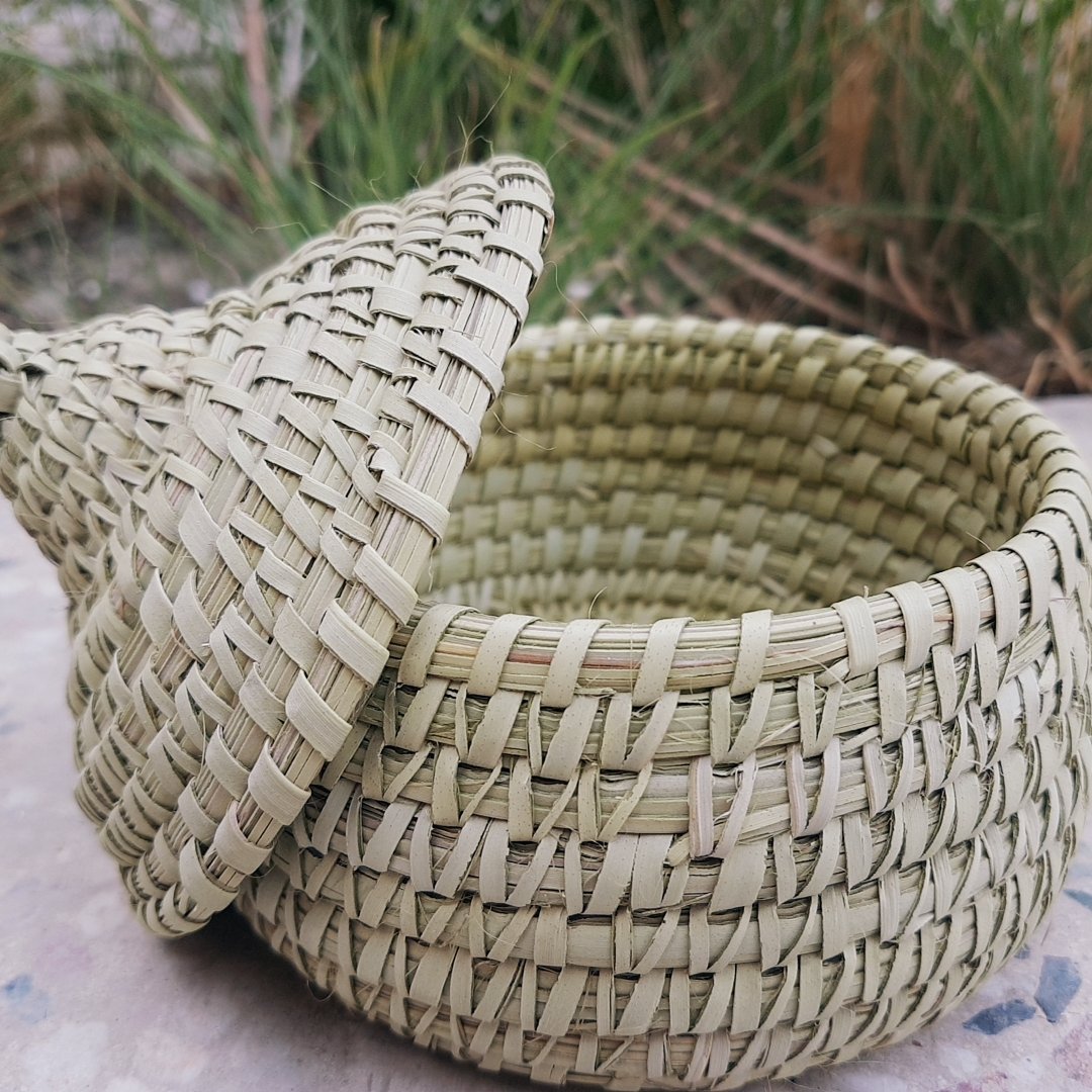 قنددان حصیری ریزبافت فشرده داز (جنوب بلوچستان)