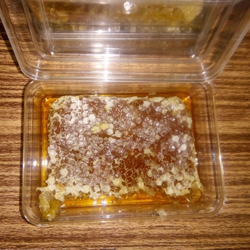 عسل طبیعی  باموم کلزا سبلان نیم کیلویی (مستقیم از زنبوردار)ارسال رایگان