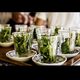 چای سبز ممتاز  ایرانی 400  گرمی ارسال رایگان