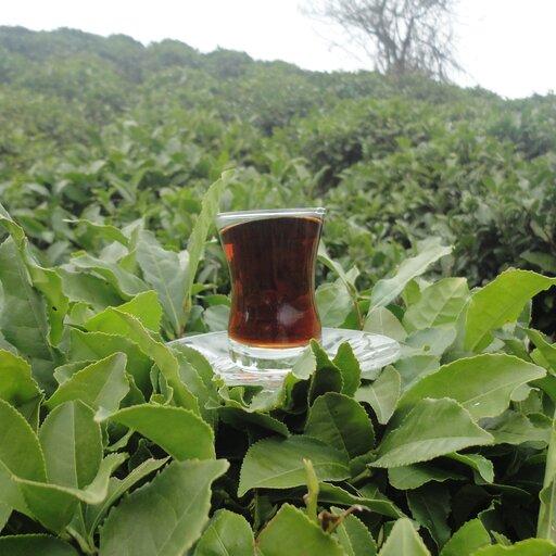 چای ایرانی شکسته سه کیلو  درجه یک 