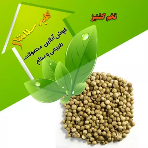 تخم گشنیز توپی(نیم کیلویی)