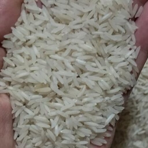 برنج فجر درجه یک 10 کیلویی