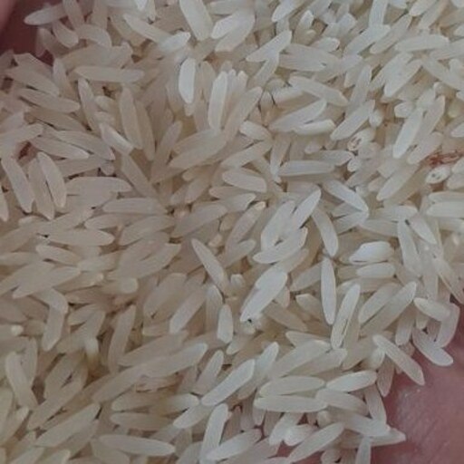 برنج فجر درجه یک 10 کیلویی