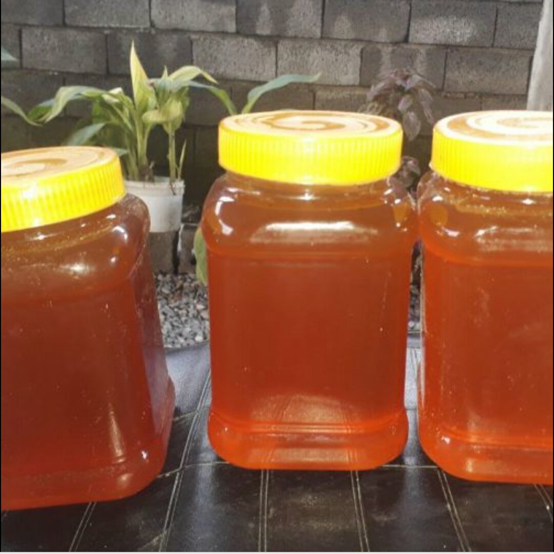 عسل طبیعی خارشتر1کیلو