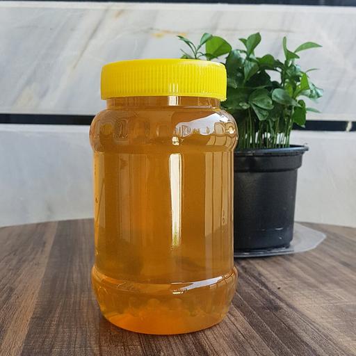 عسل طبیعی بهارنارنج