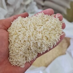 برنج هاشمی پاک شده پارسال صد درصد خالص10 کیلویی