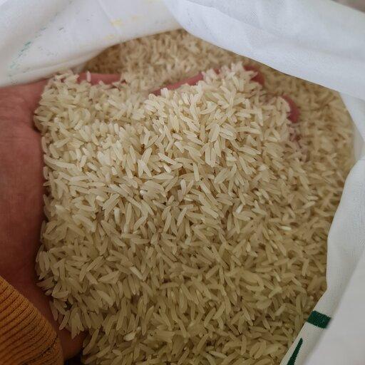 برنج فجر سوزنی امساله 10 کیلویی