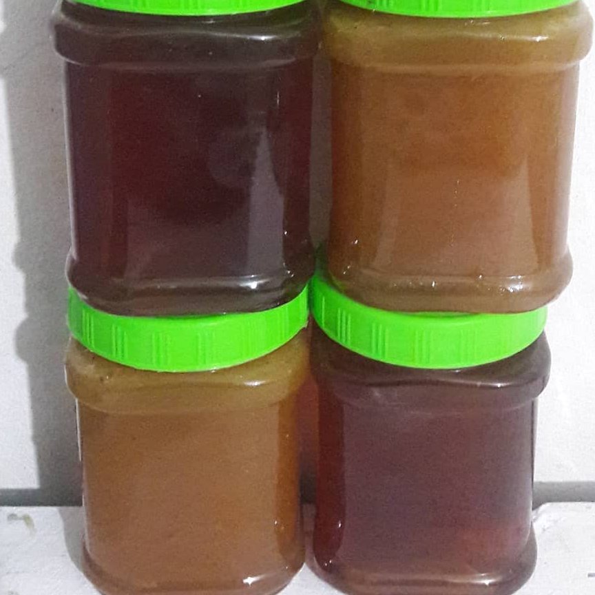 عسل کنار (گرمسیری)محصولی از شهرهای جنوبی فارس