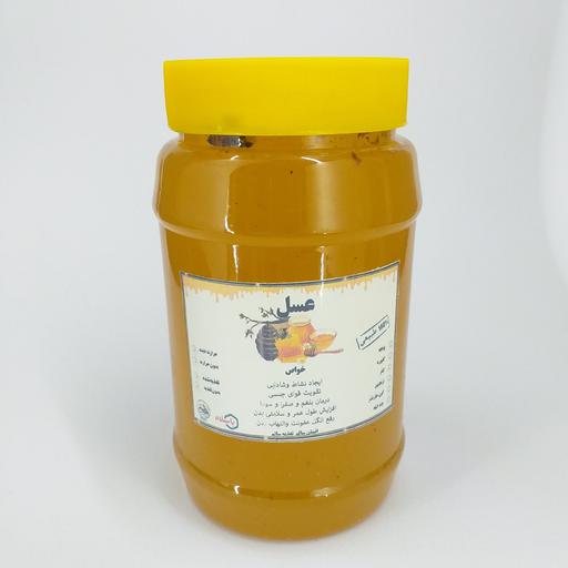 عسل یک کیلویی گون محصولی از  خانه احسان کاشمر