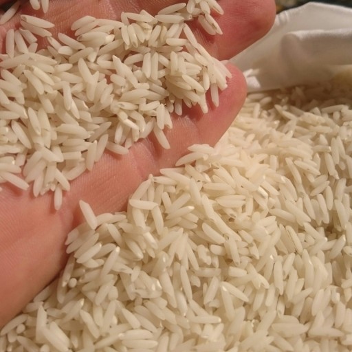 برنج هاشمی ممتاز ماسال