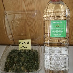 عرق بادرنجبویه