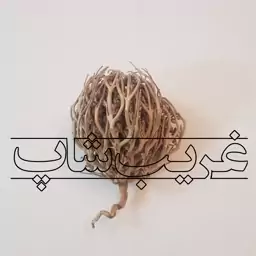 پنجه مریم (سیکلامن یا نگون سار)