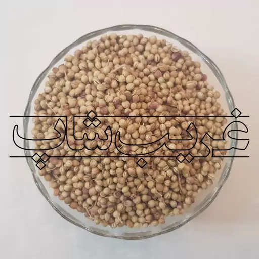 تخم گشنیز (کزبره)