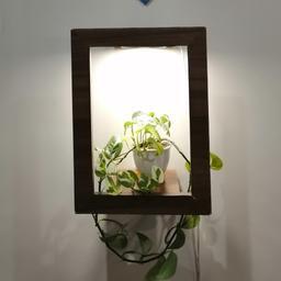قاب چوبی مخصوص گیاه آپارتمانی با نور مصنوعی 20 * 30 سانت